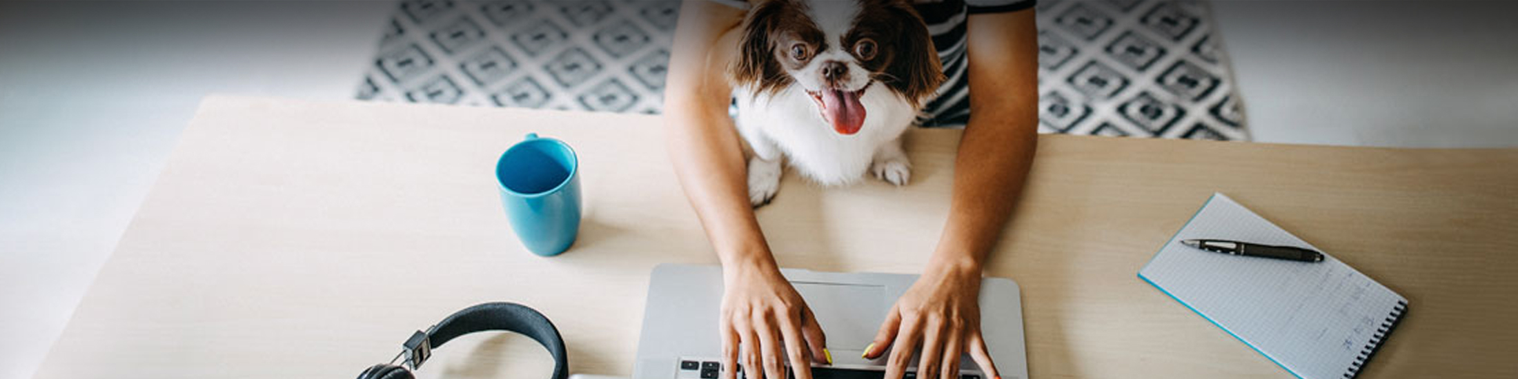 Frau mit Hund schreibt auf einem Laptop