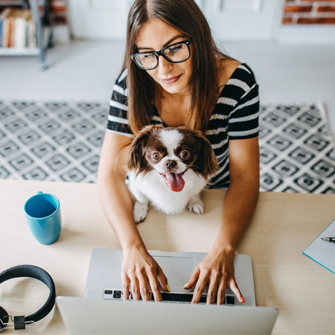Frau mit Hund schreibt auf einem Laptop