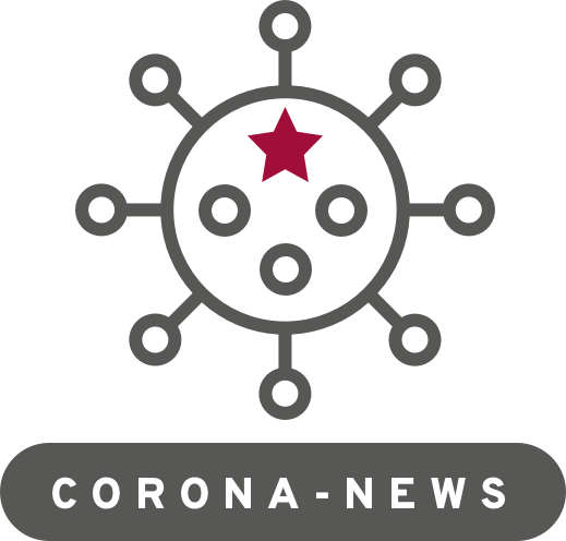 Icon Stern Corona Virus