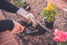 Sonderthema Baumärkte und Gartenbau