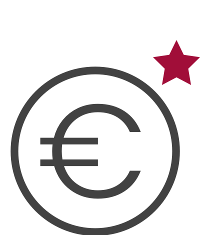 € Zeichen im Kreis mit Stern Icon