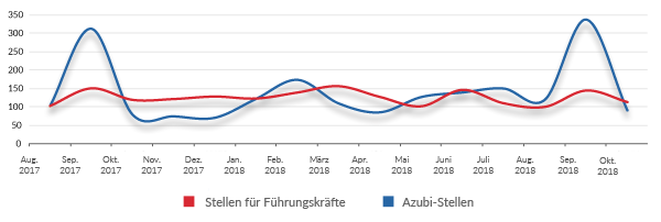 Entwicklung Printstellenmarkt für Azubis und Führungskräfte